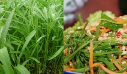 Loại rau rẻ tiền mùa hè bán đầy chợ có tác dụng tuyệt vời được ví như 'thần dược' ít ai biết