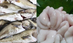 1 bộ phận cực đắt của con cá được ví như 'thần dược' nhiều người không biết thường bỏ đi