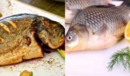 2 bộ phận của con cá 'đại bổ' nhưng có thể hóa chất độc nếu ăn sai cách