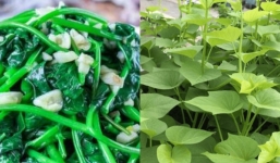 Rau lang: Loại rau rẻ tiền tốt như 'thần dược', kẻ thù của ung thư