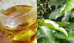 Cây vối: Cứu tinh cho mùa hè nắng nóng vừa giải nhiệt vừa hỗ trợ điều trị nhiều bệnh