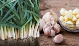 Cây tỏi: Vị thuốc quý nhiều tác dụng tốt cho sức khỏe nên trồng trong vườn nhà