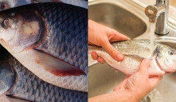 Ra chợ thấy 4 loại cá này có cho cũng không nên lấy, ăn vào thêm sinh bệnh