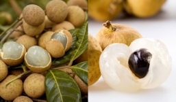 Nhãn rất ngon, ăn bon miệng cũng chớ vượt qua con số này kẻo lợi bất cập hại