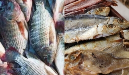 5 loại cá nhất định đừng mua vì hại như thuốc độc, loại thứ 2 nhiều người hay ăn