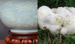 Chuyện thật về những người đàn ông đổi đời vì tìm thấy 'báu vật' nghìn năm có một