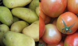 Người bán rau nói thật: Tuyệt đối không mua 2 loại củ quả này khi có màu xanh