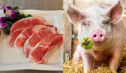 Bộ phận đại bổ của con lợn, tốt hơn 'thuốc tiên' nhưng nhiều người lại không biết để mua