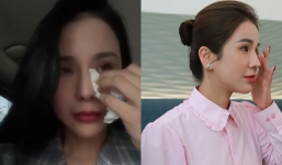 Hành trình đầy nước mắt của Diệp Lâm Anh trong 'cuộc chiến' với chồng thiếu gia