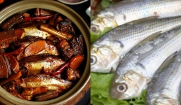 Loại cá nhà nghèo cho không ai ăn lại không ngờ bổ chẳng kém nhân sâm tổ yến