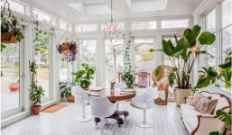 Những vị trí đặt cây cảnh giúp gia chủ 'tiền vào như nước'