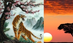 Cổ nhân dặn: Trong nhà treo 4 loại tranh này khiến gia chủ xui xẻo, ở không yên