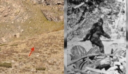 Đang quay video, đôi vợ chồng kinh ngạc phát hiện quái vật khổng lồ trong truyền thuyết lọt vào ống kính