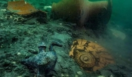 Vô tình phát hiện kho báu vô cùng lớn khiến các nhà khoa học sửng sốt