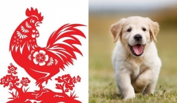 1 tháng tới, 3 con giáp phất lên như diều gặp gió, tiền chất như núi, tình duyên viên mãn