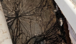 Cảm giác bất an, người phụ nữ rùng mình trước phát hiện quá đáng sợ dưới sàn nhà