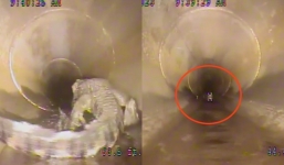 Nhóm công nhân hoảng hốt khi tận mắt chứng kiến 'quái vật' kỳ lạ bên dưới ống cống 