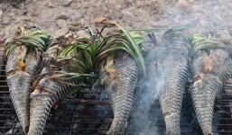 Loại cá cực bẩn, cực độc ra chợ thấy rẻ đến mấy cũng đừng ham mua kẻo hại thân