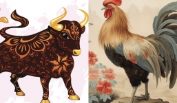 Từ ngày 20/11 trở đi, 4 con giáp này quý nhân phù trợ, cầu gì được đấy, tiền nhiều vô biên