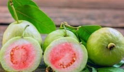 Ổi rất tốt nhưng ăn theo cách này sẽ rước họa vào thân, hãy xem bạn đã ăn đúng cách chưa?