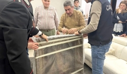 Phát hiện 'kho báu' bí mật mất tích hơn 50 năm trong một ngôi nhà của người dân