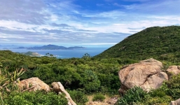 Kinh ngạc: Phát hiện sinh vật có hình dạng kỳ quái tưởng chỉ có ở ngoài hành tinh tại Ninh Thuận