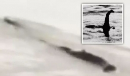 Kinh ngạc: Nhân viên bến phà hoảng khi phát hiện quái vật bơi dưới biển, bí ẩn chính thức được giải mã