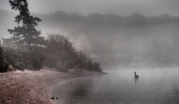 Quái vật Loch Ness: Chuyên gia ghi lại cảnh tượng được 'xác nhận' lần đầu tiên trong thập kỷ bằng đoạn phim gây sốc