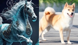 Tháng 1/2024, 2 con giáp giàu sụ, 1 tuổi sao chổi chiếu mệnh vận đen đủ đường cần đề phòng 