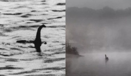 Quái vật hồ Loch Ness: Các nhà khoa học cuối cùng cũng tiết lộ danh tính thực sự của sinh vật huyền thoại 