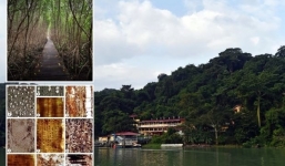 Tìm thấy thế giới bí ẩn bị xóa sổ bởi vụ phun trào núi lửa tận thế 22 triệu năm trước