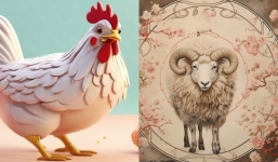 2 con giáp được dự đoán gặp nhiều chuyện xui xẻo nhất năm 2024, 1 tuổi giàu sụ cầm đầu bảng xếp hạng