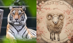 3 con giáp dự đoán kiếm nhiều tiền nhất năm 2024, lộc lá đầy nhà, tiêu mấy đời không hết