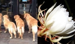 Nhà nào bỗng có 3 hiện tượng này vào dịp cuối năm thì sắp đổi đời, tiền vào như nước sông Đà