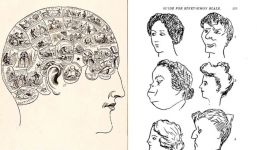 Giải mã bí ẩn của trí thông minh qua các thời đại khiến bạn phải kinh ngạc trước não bộ của con người