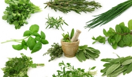 Những loại rau thơm có tác dụng chữa bệnh cực tốt