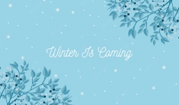 1001 stt về mùa đông hay nhất, khiến mọi trái tim đều thổn thức