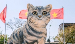 'Hoa hậu mèo' ở Quảng Trị chào Tết Quý Mão 2023 có nguồn cảm hứng từ mèo tam thể thuần Việt