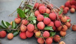 Nắm vững 4 bí quyết sau đây để thoải mái ăn vải không lo bị nóng