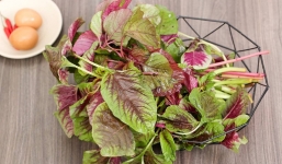 4 sai lầm khi ăn rau dền khiến thực phẩm mùa hè bổ dưỡng thành món ăn hại cơ thể