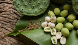 Hạt sen rất tốt nhưng cần đặc biệt ghi nhớ 5 lưu ý khi dùng sản vật này để tránh gây hại sức khỏe