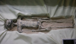 Chuyên gia bóc trần sự thật về mẫu vật 'người ngoài hành tinh' vừa được Mexico công bố