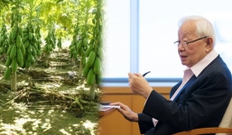 Tỷ phú 92 tuổi tiết lộ phương pháp bảo vệ dạ dày: Hóa ra sử dụng loại quả 'rẻ bèo' đang vào mùa ở Việt Nam