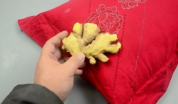 Hành động đặt gừng dưới gối trước khi đi ngủ mang lại lợi ích không ngờ