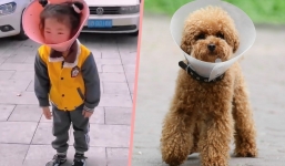 Người đàn ông bắt cháu gái 5 tuổi đeo vòng loa của vật nuôi, lý do đằng sau gây tranh cãi