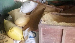 Vụ mất 49 cây vàng giấu trong thùng lúa: Chỉ diễn ra trong vòng 2 tiếng