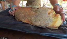 Nhặt được miếng sáp lạ vứt góc vườn, bất ngờ được định giá 12 tỷ đồng