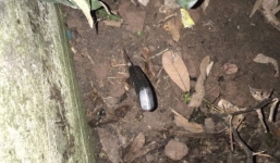 Thông tin mới nhất vụ anh trai đâm em ruột tử vong tại Nam Định