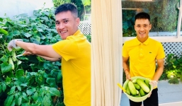 Công Vinh khiến fan sốc khi rao giá bán dưa leo của nhà trồng được