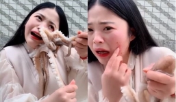 Livestream ăn bạch tuộc sống, cô gái nhận cái kết đau đớn